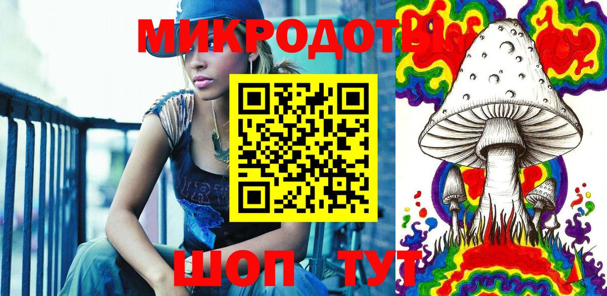 Галлюциногенные грибы Psilocybine cubensis Тольятти